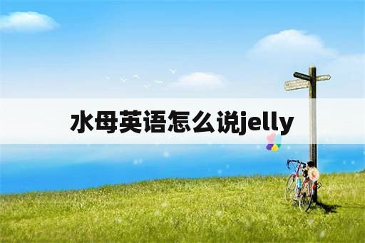 水母英语怎么说jelly