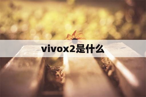 vivox2是什么