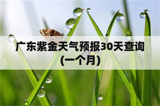 广东紫金天气预报30天查询(一个月)