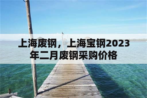 上海废钢，上海宝钢2023年二月废钢采购价格