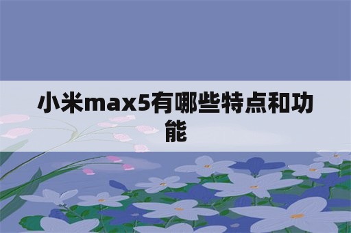 小米max5有哪些特点和功能