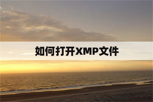如何打开XMP文件