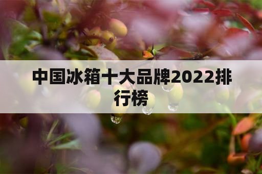 中国冰箱十大品牌2022排行榜