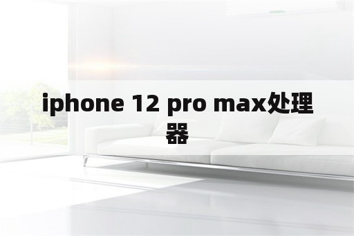 iphone 12 pro max处理器