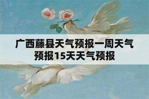 广西藤县天气预报一周天气预报15天天气预报