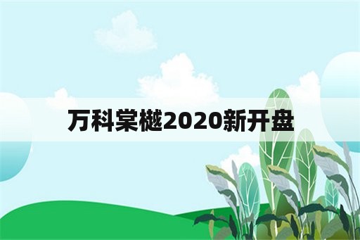 万科棠樾2020新开盘