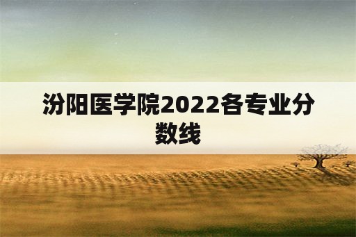 汾阳医学院2022各专业分数线
