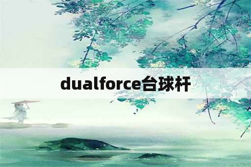 dualforce台球杆