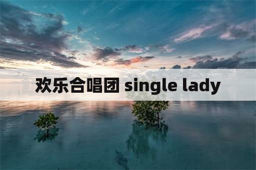 欢乐合唱团 single lady